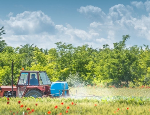 Kamervragen set-aside-regeling en landbouwvrijstelling